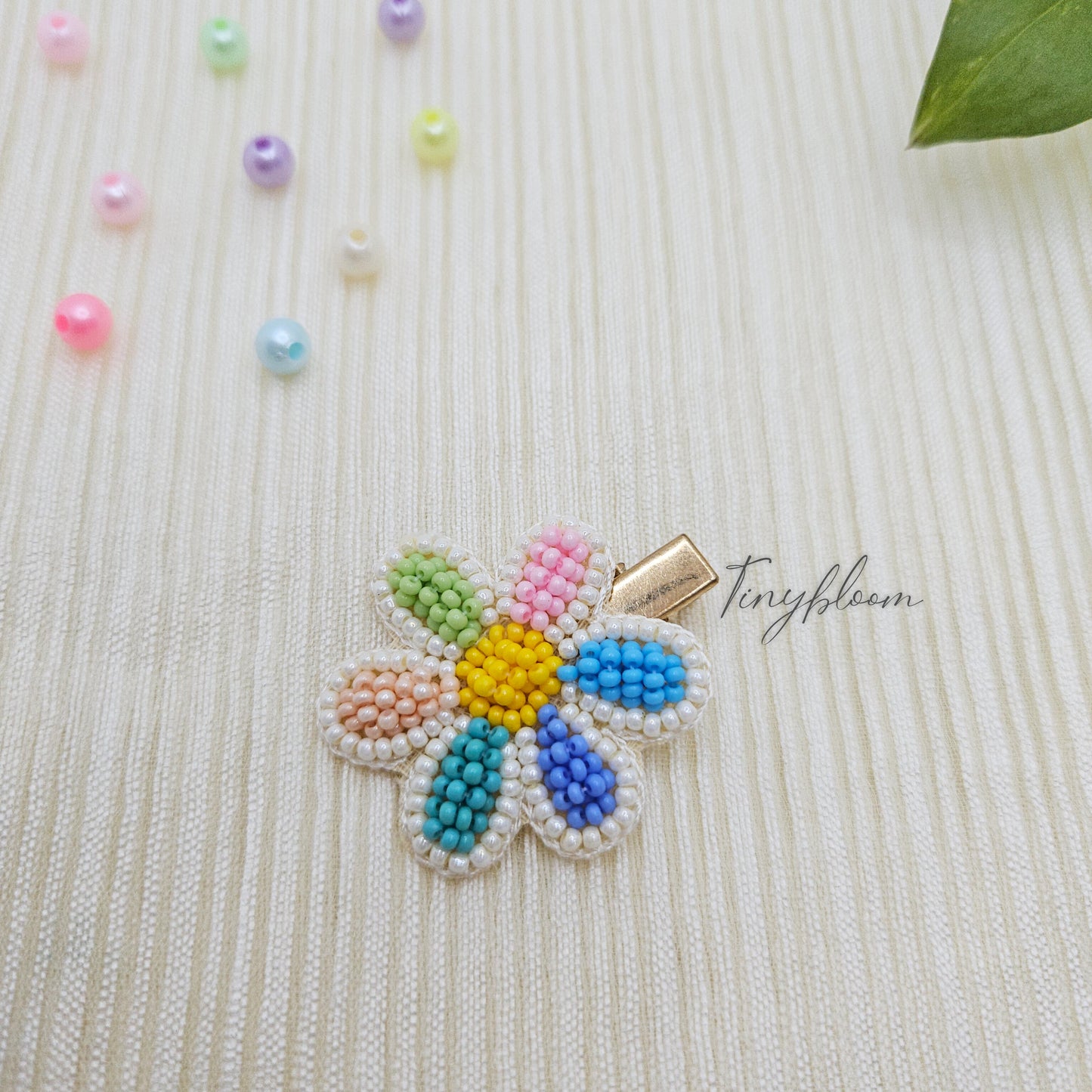 Daisy Dazzle