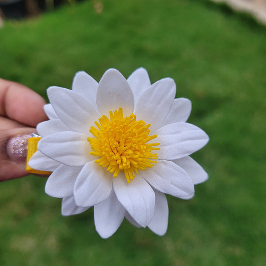 Lumina Petal