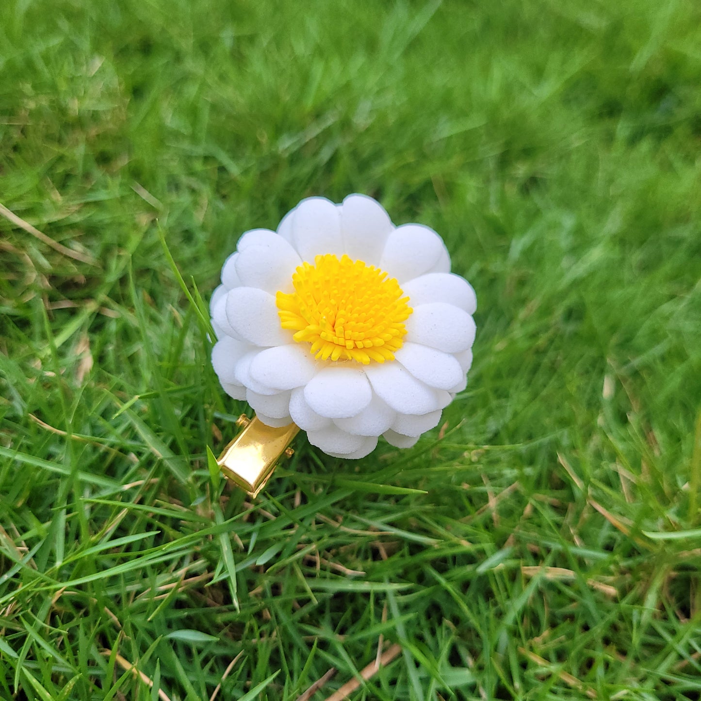White Blossom