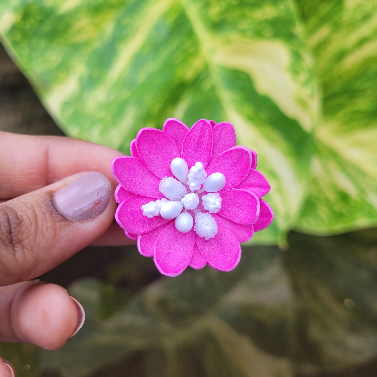 Lotus Bloom
