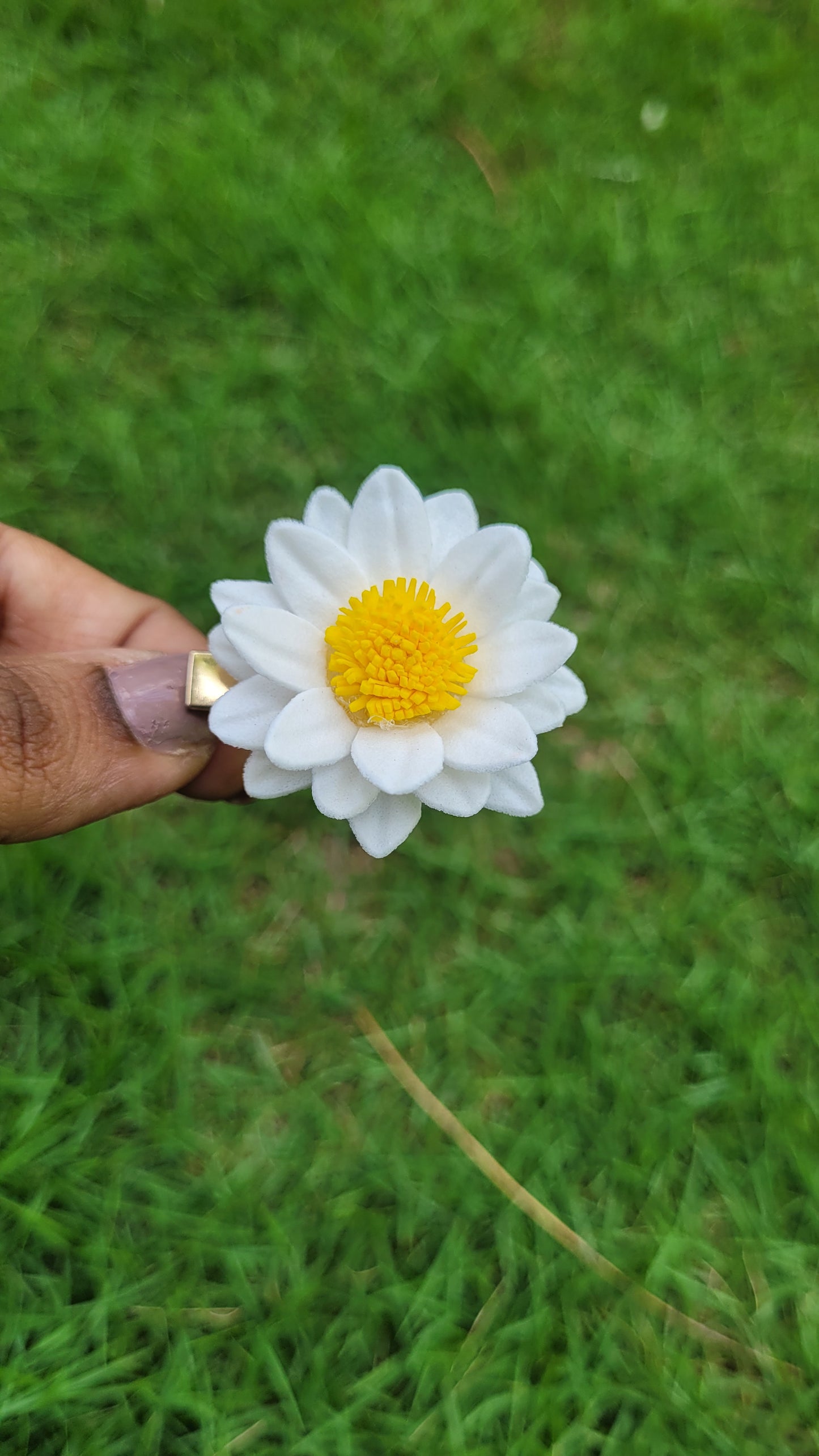Lumina Petal