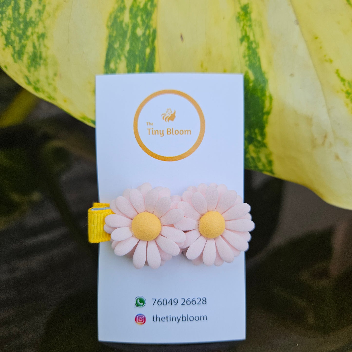 Pastel Bloom clip