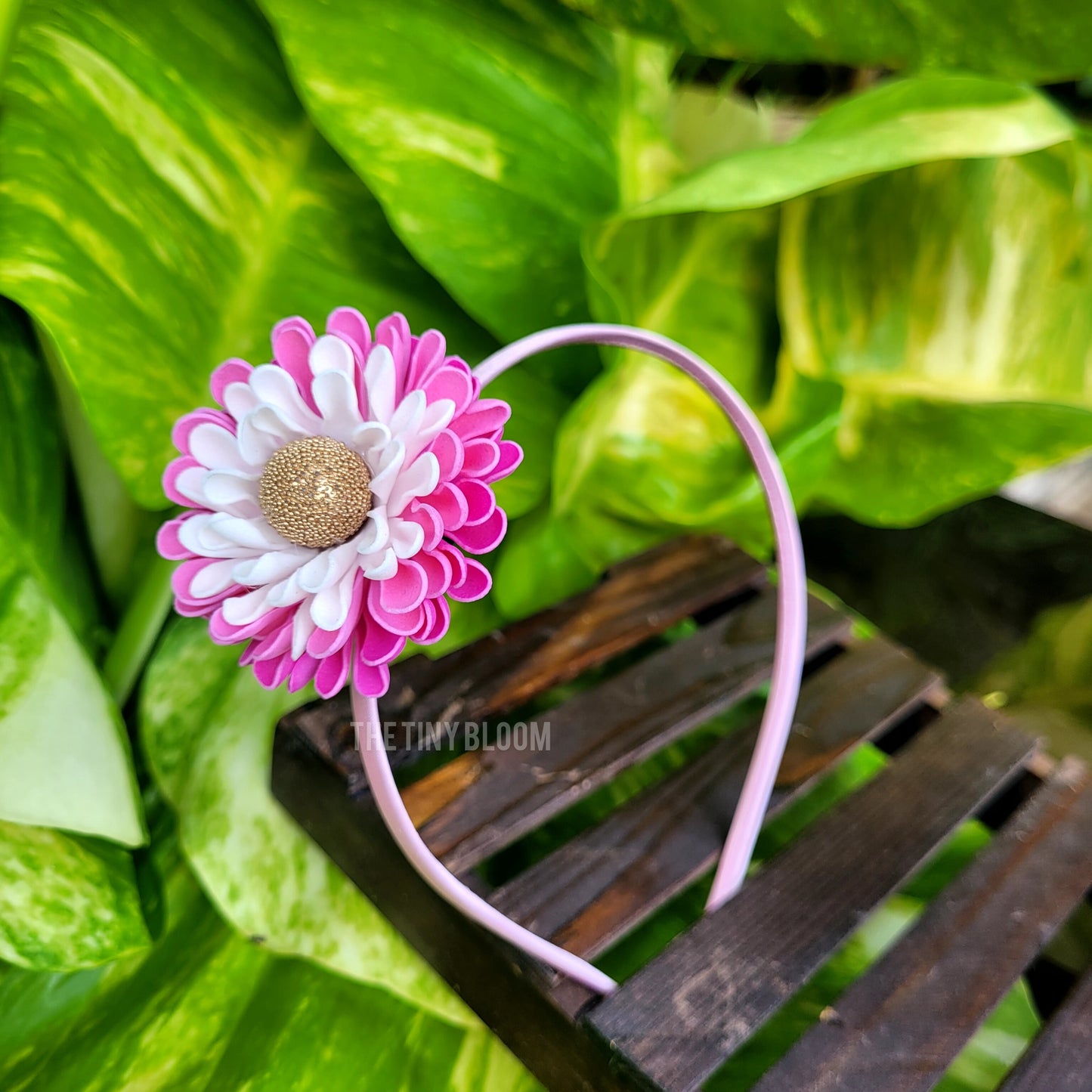 Rosy Grace