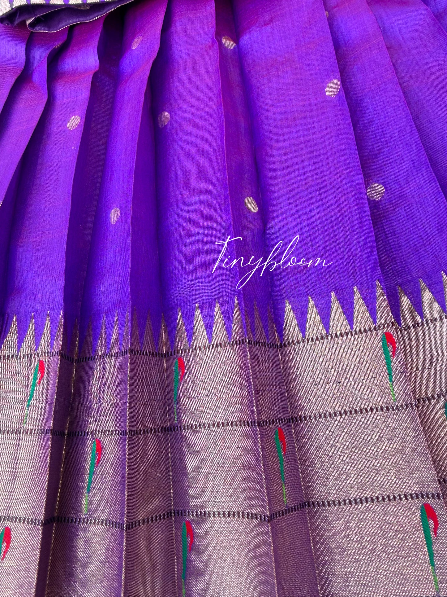 Paithani - Varnika