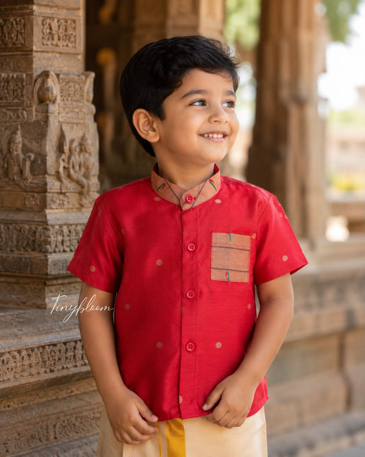 Paithani Shirt ♥️